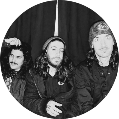 no love songs profile pic